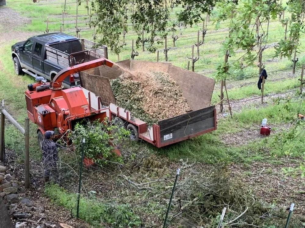 Affordable garden landscaping in Loch Lomond, CA by Fire Wise Landscaping