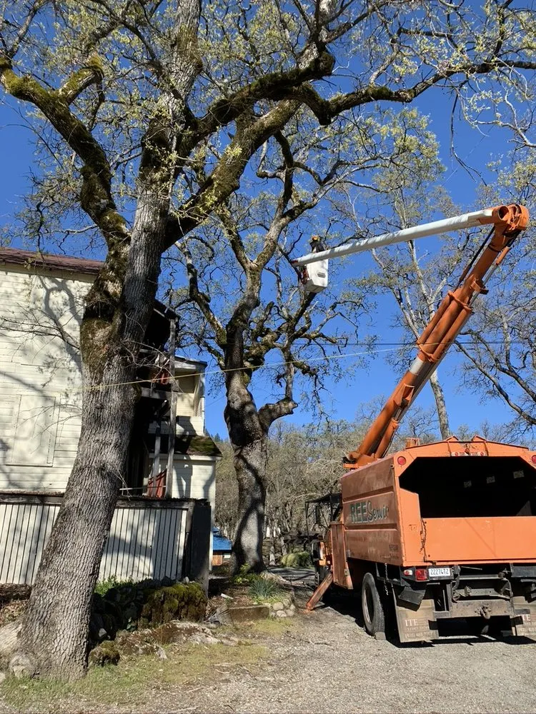 Professional landscape installation for outdoor upgrades across Loch Lomond, CA - Fire Wise Landscaping