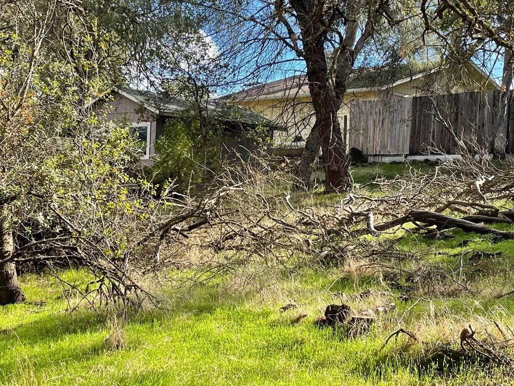 Local landscape design with custom design across Loch Lomond, CA - Fire Wise Landscaping