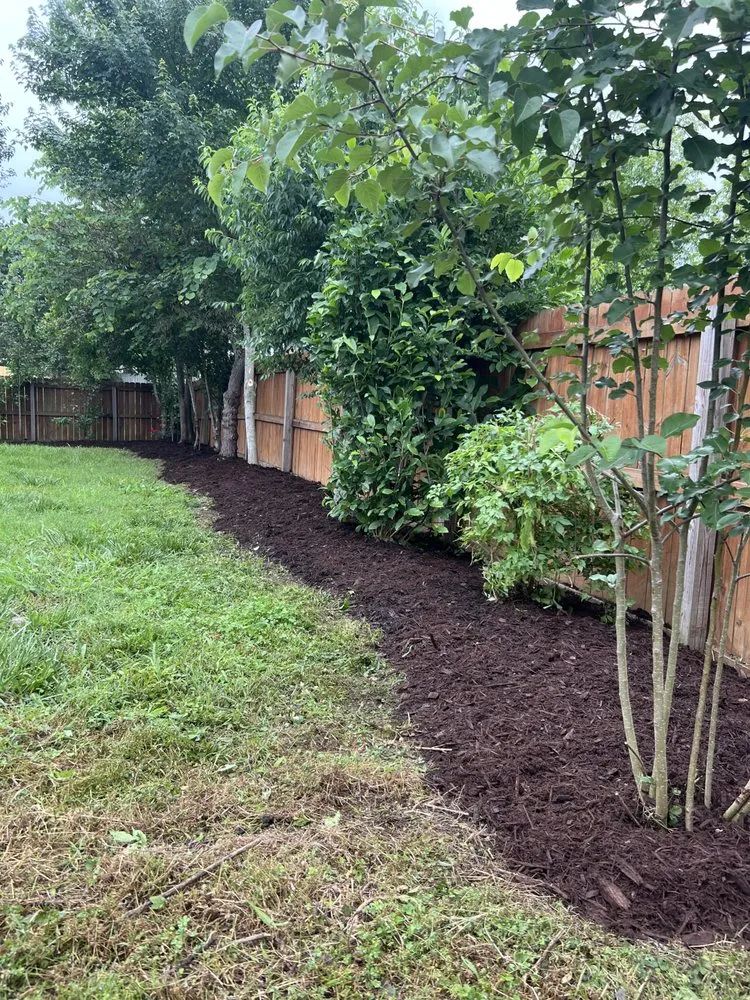 Top-rated lawn care service for beautiful yards in Nashville, TN by Fired Up Lawn Care