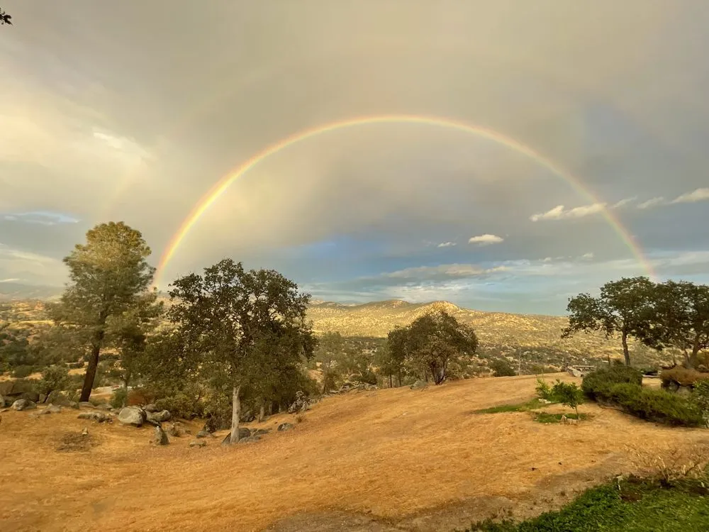 Professional lawn mowing service for residential properties in Raymond, CA by Firefall Fuels Mitigation