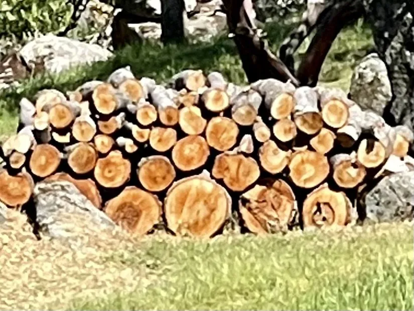 Expert yard maintenance near you in Raymond, CA by Firefall Fuels Mitigation