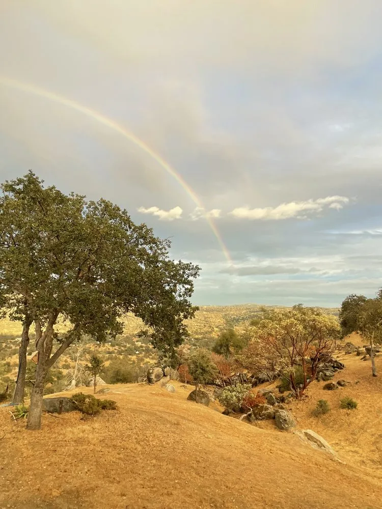 Affordable landscape design experts serving Raymond, CA - Firefall Fuels Mitigation