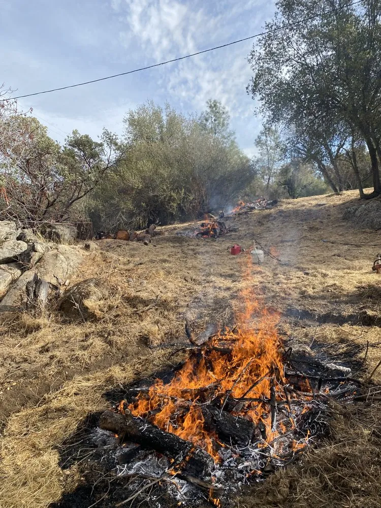 Custom residential landscaping in Raymond, CA - Firefall Fuels Mitigation