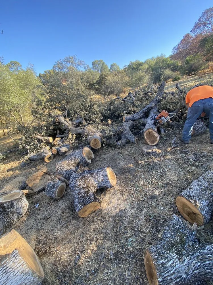 Professional yard cleanup service for year-round maintenance in Raymond, CA by Firefall Fuels Mitigation
