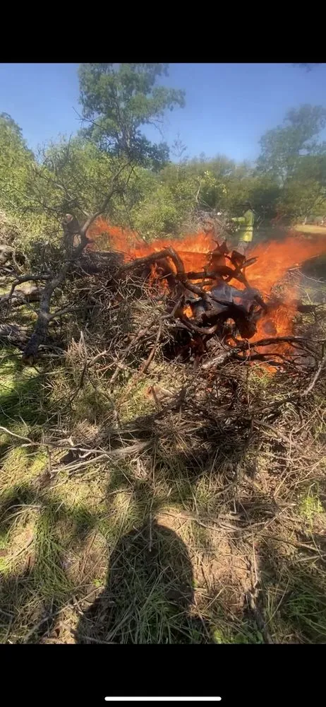 Custom garden landscaping for homes across Raymond, CA - Firefall Fuels Mitigation