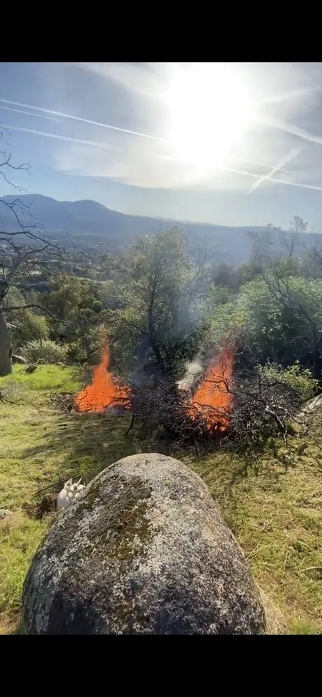 Custom landscape design experts serving Raymond, CA - Firefall Fuels Mitigation