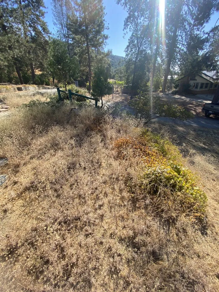 Trusted yard cleanup service for homes in Raymond, CA by Firefall Fuels Mitigation