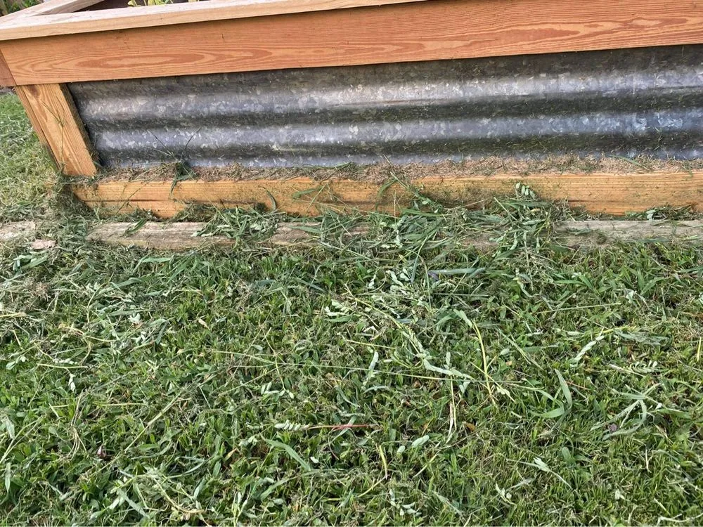 Professional lawn care service in Newnan, GA by Firefighter Lawn Maintenance