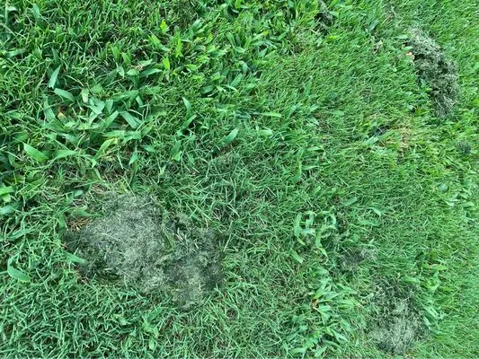 Firefighter Lawn Maintenance