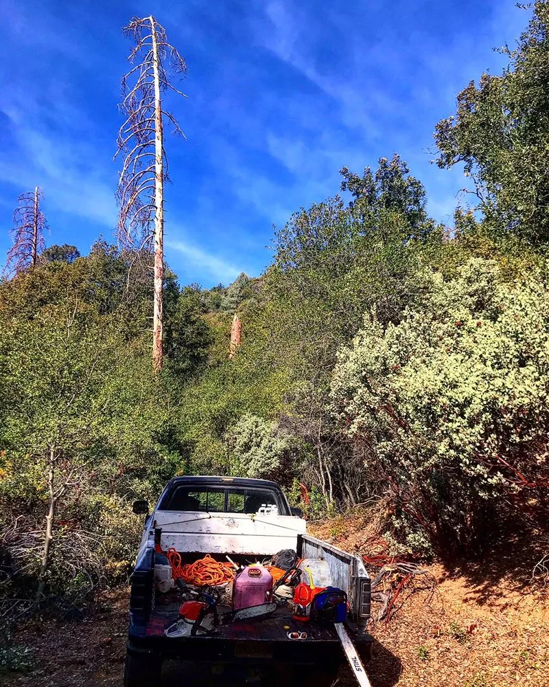 Affordable outdoor landscaping in Mariposa, CA by FireHouse Home Services