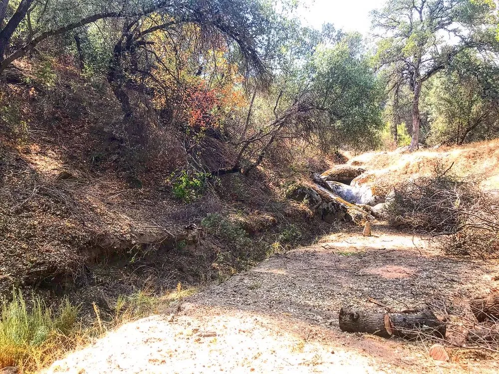 Reliable garden landscaping in Mariposa, CA by FireHouse Home Services