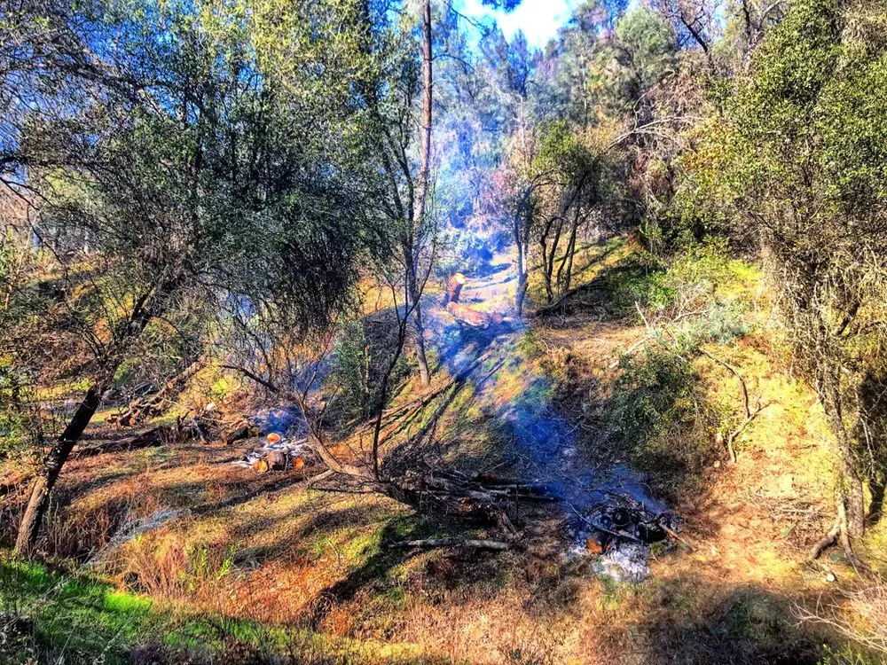 Top-rated landscaping services in Mariposa, CA by FireHouse Home Services