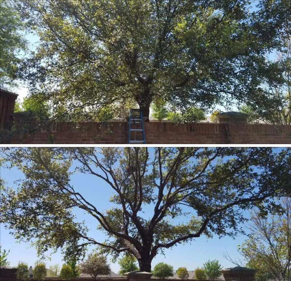 Top-rated outdoor landscaping in Prosper, TX by Firehouse Lighting And Irrigation