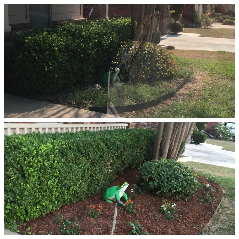 Affordable landscaping services in Prosper, TX by Firehouse Lighting And Irrigation