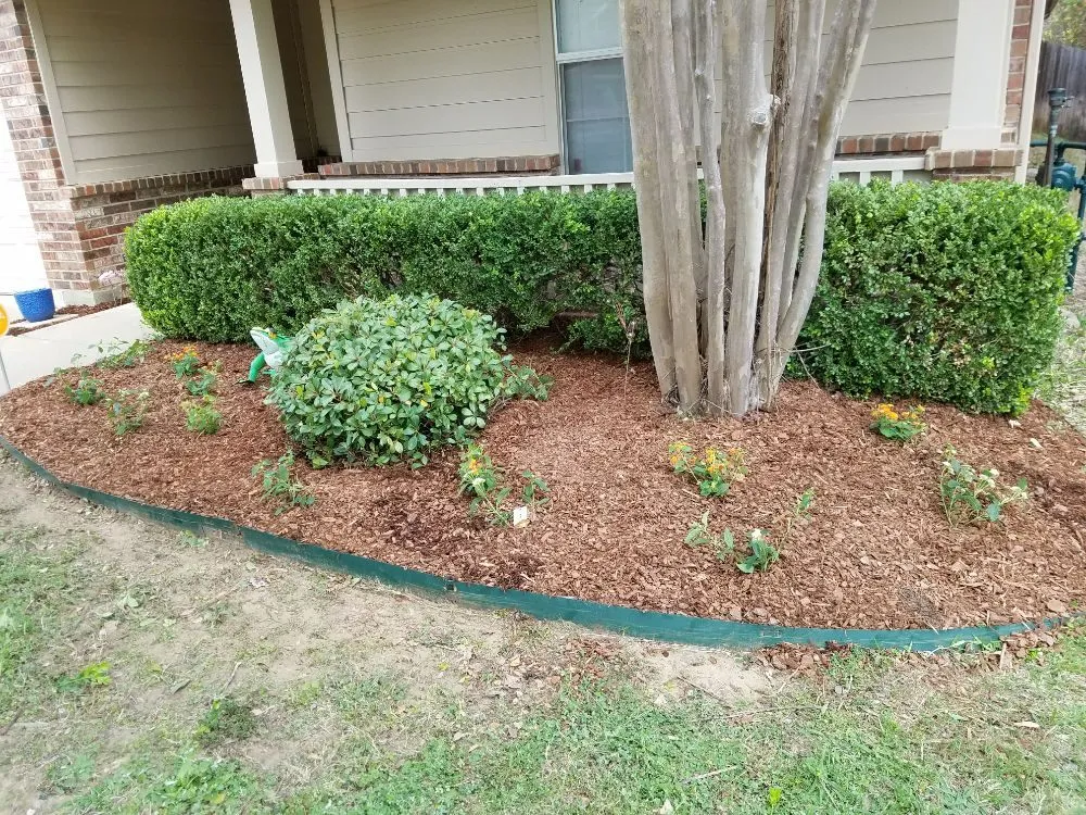 Professional lawn care service near you across Prosper, TX - Firehouse Lighting And Irrigation