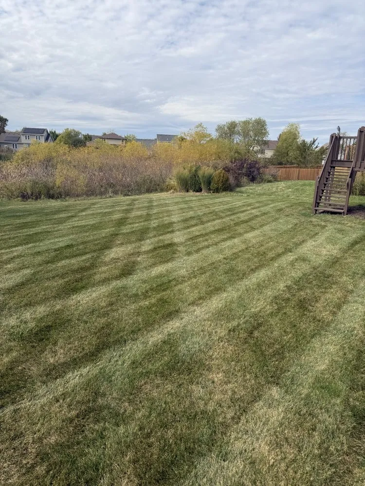 Top-rated yard cleanup service in Monona, WI by Fireline Lawn Care