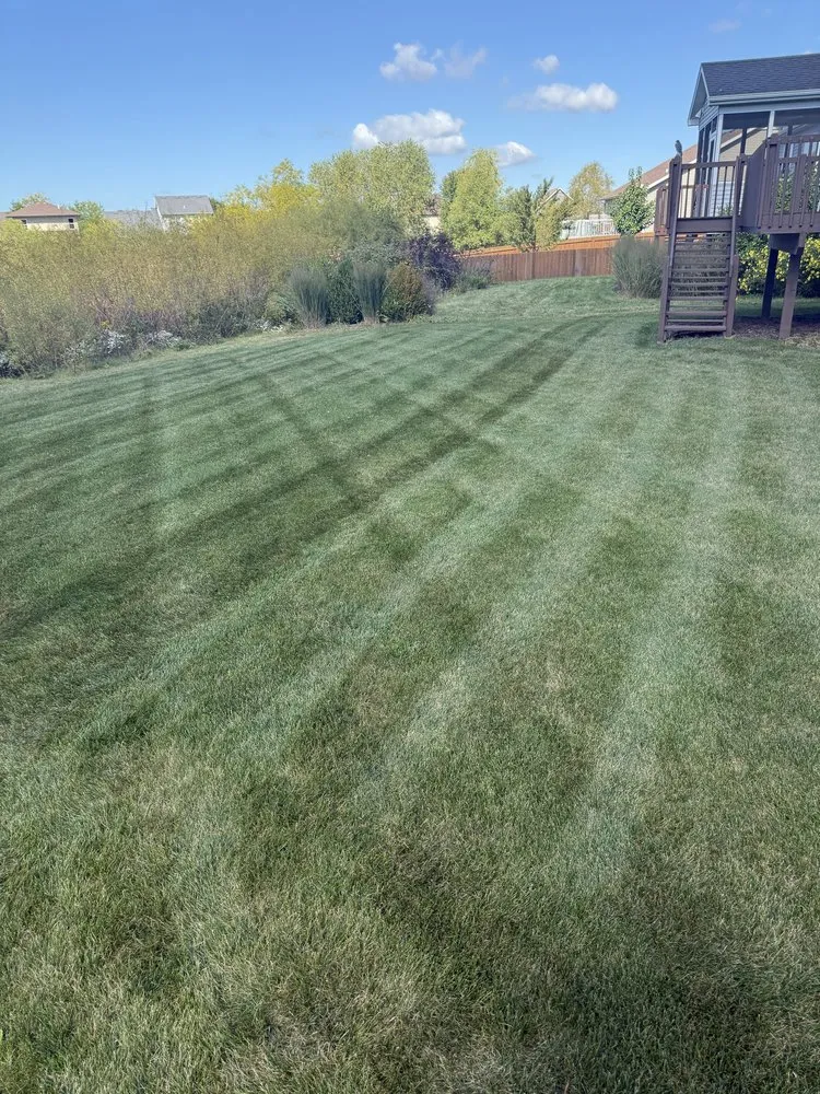 Top-rated yard maintenance for residential properties across Monona, WI - Fireline Lawn Care