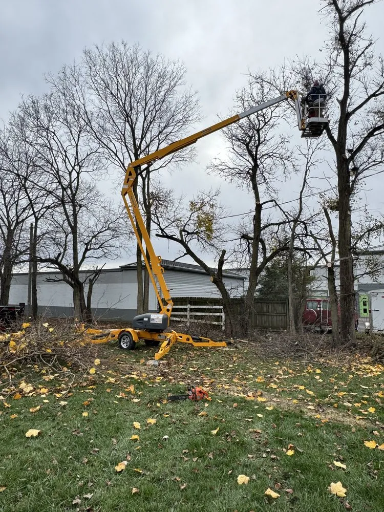 Local residential landscaping in Columbus, OH by Fireline Lawns