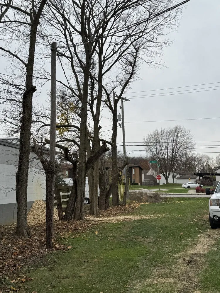 Custom garden landscaping with custom design in Columbus, OH by Fireline Lawns