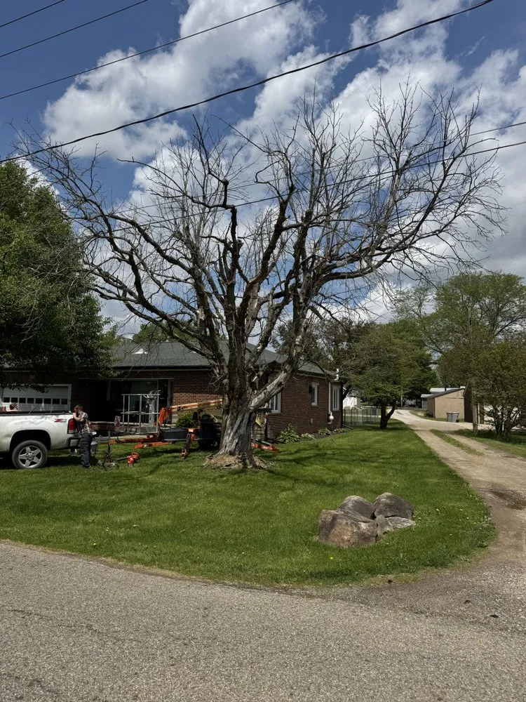 Trusted outdoor landscaping in Columbus, OH - Fireline Lawns