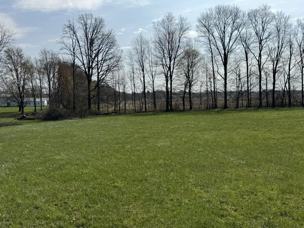 Reliable yard maintenance in Columbus, OH by Fireline Lawns