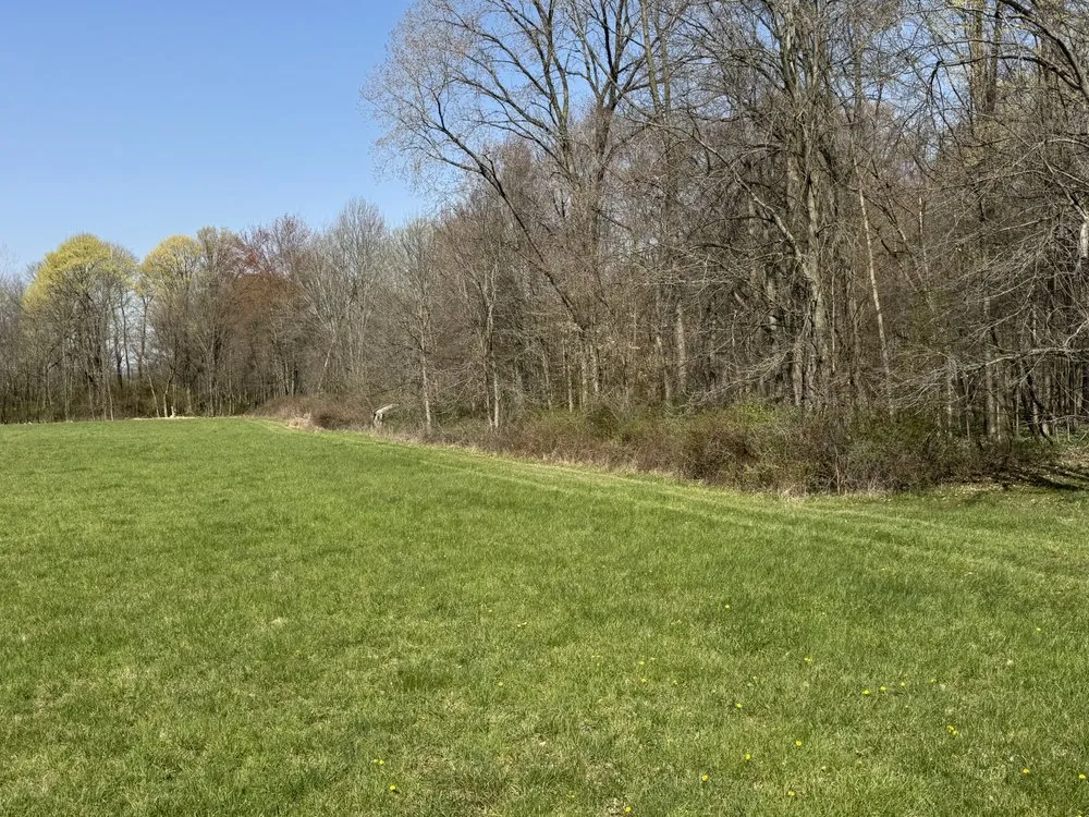 Affordable landscaping services near you in Columbus, OH by Fireline Lawns