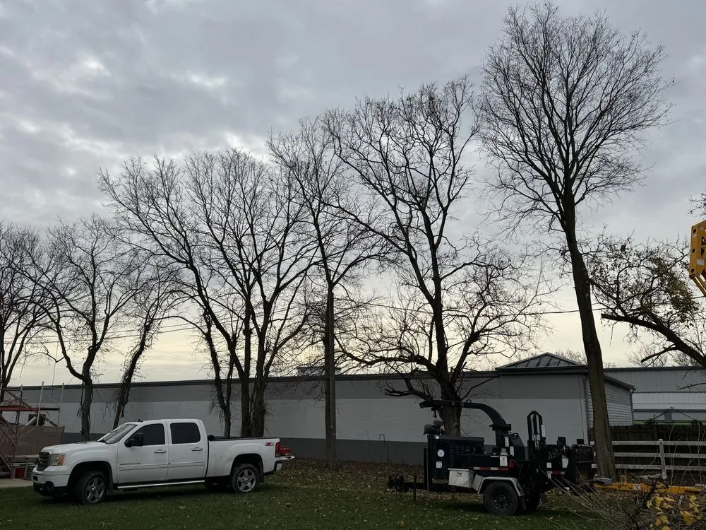 Expert landscape installation in Columbus, OH by Fireline Lawns