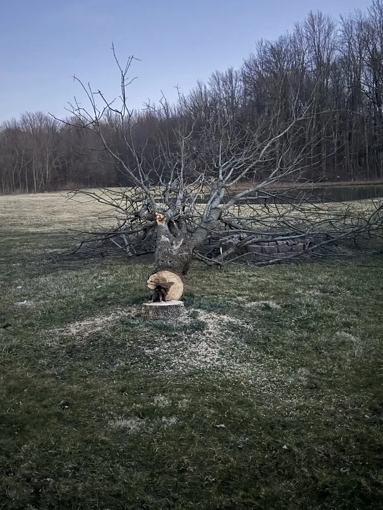 Professional residential landscaping in Columbus, OH by Fireline Lawns