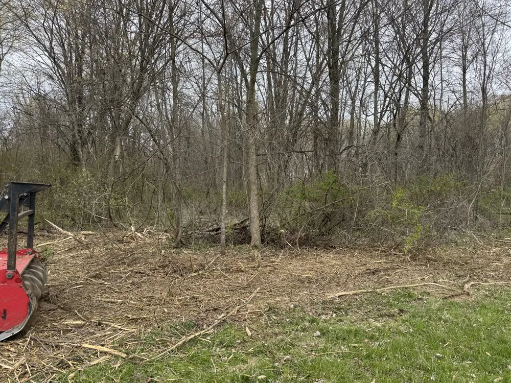 Custom lawn care service for outdoor upgrades in Columbus, OH by Fireline Lawns