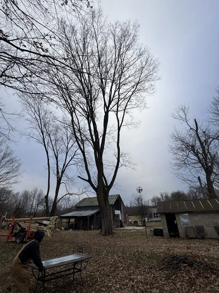 Custom yard cleanup service in Columbus, OH by Fireline Lawns