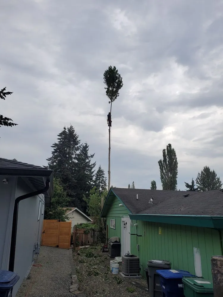 Reliable garden landscaping experts serving Seattle, WA - Firepit Landscaping