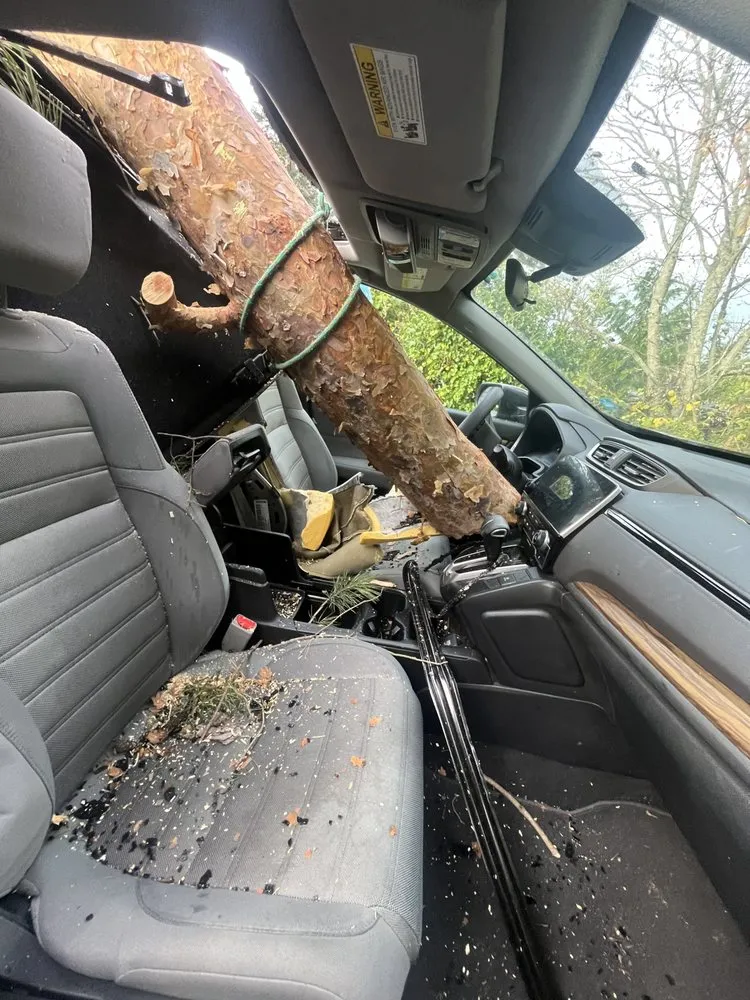 Expert yard cleanup service for residential properties across Seattle, WA - Firepit Landscaping