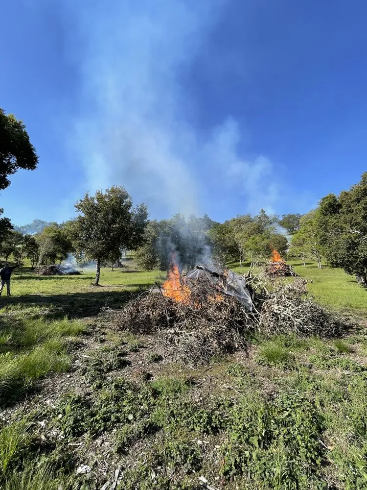 Custom garden landscaping for homes in Sebastopol, CA by Firescape