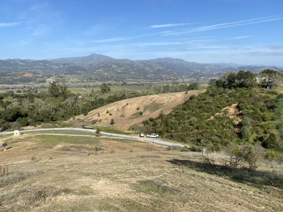 Affordable outdoor landscaping in Sebastopol, CA - Firescape