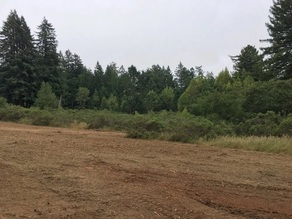 Reliable lawn mowing service in Sebastopol, CA by Firescape