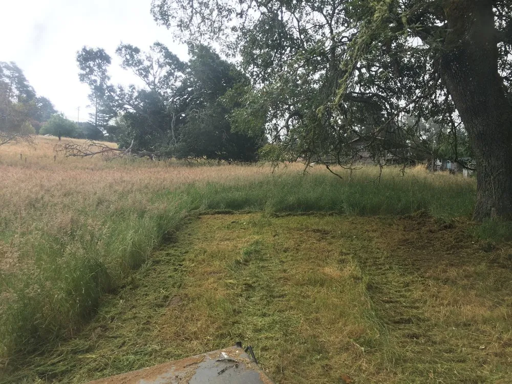 Trusted garden landscaping in Sebastopol, CA by Firescape