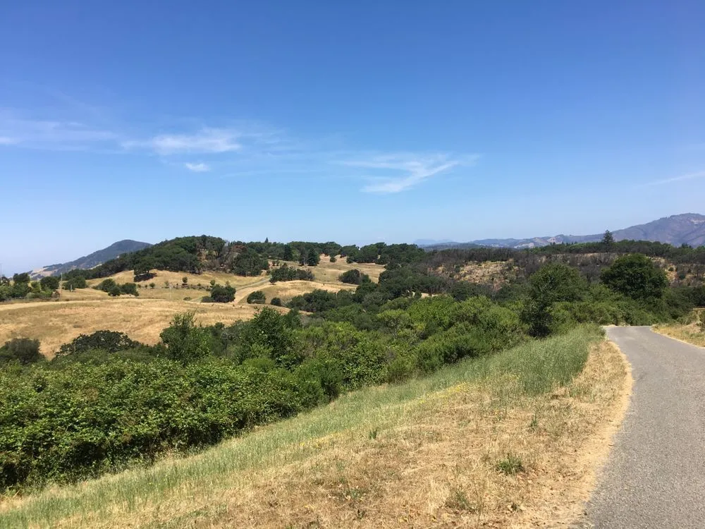 Reliable outdoor landscaping for residential properties across Sebastopol, CA - Firescape