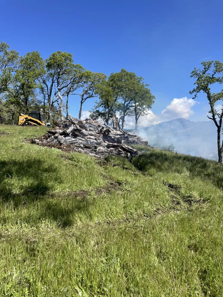 Top-rated outdoor landscaping for year-round maintenance in Sebastopol, CA by Firescape