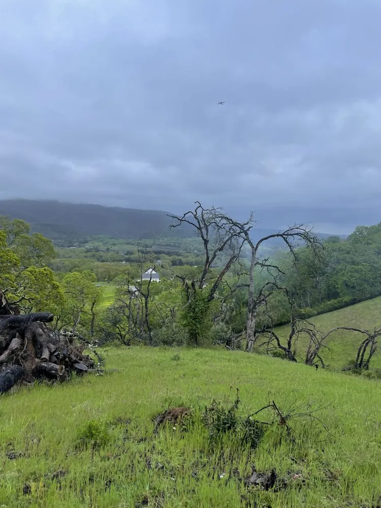 Top-rated yard cleanup service experts serving Sebastopol, CA - Firescape