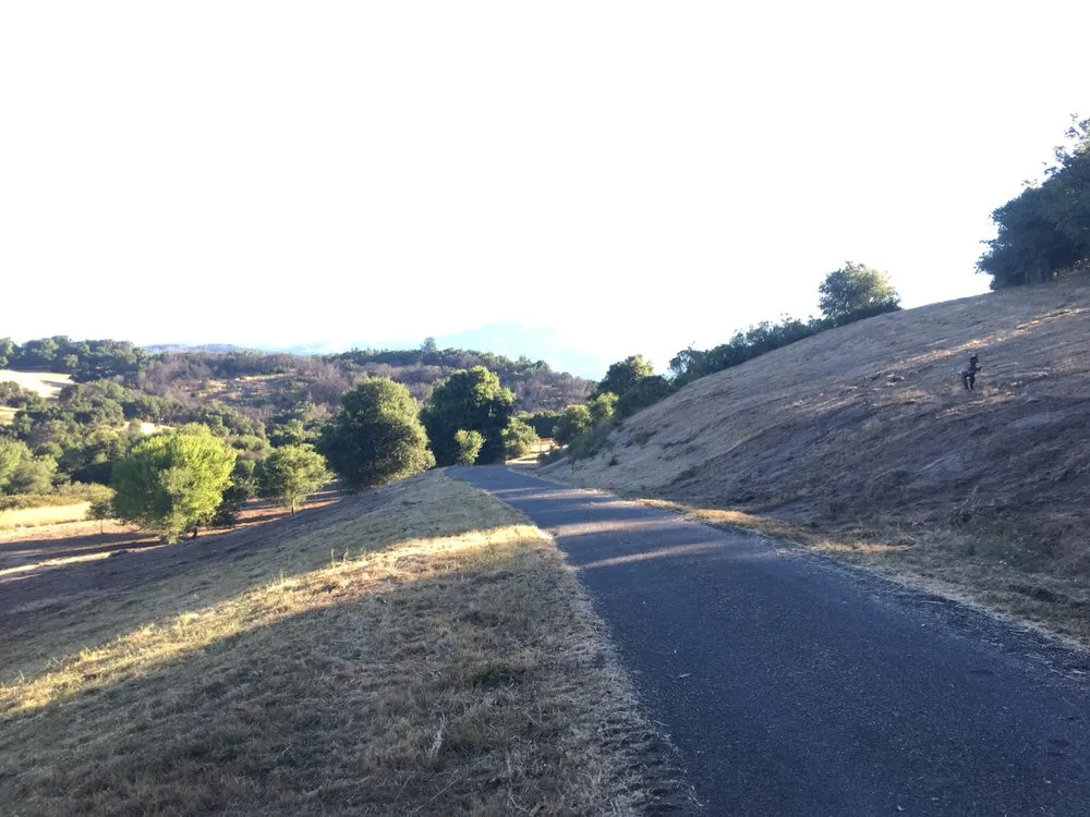 Reliable outdoor landscaping with custom design across Sebastopol, CA - Firescape