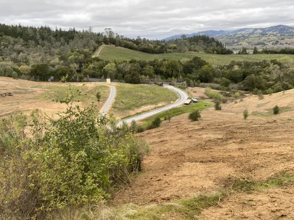 Reliable yard maintenance in Sebastopol, CA - Firescape