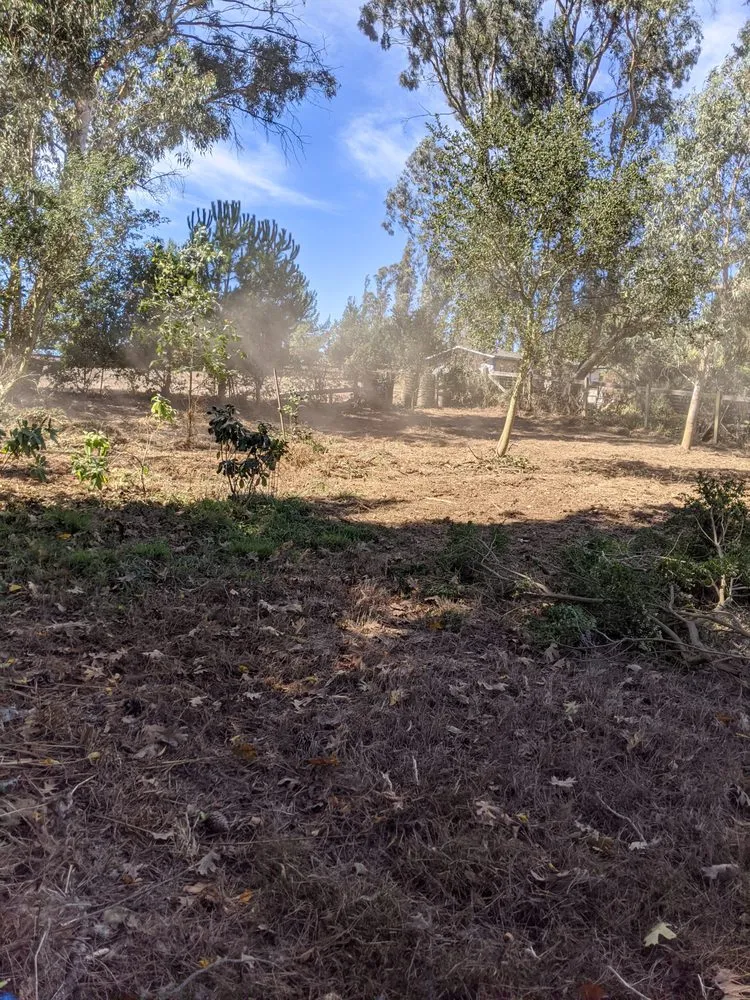 Reliable landscape design in Sebastopol, CA - Firescape