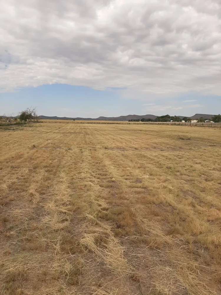 Reliable landscape installation for beautiful yards in Prescott Valley, AZ by Firescape Tractor Services