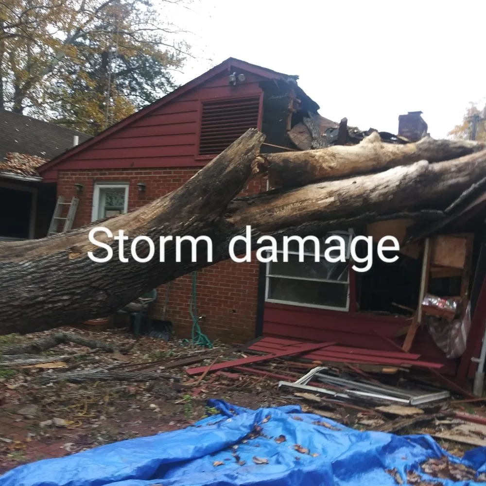 Trusted outdoor landscaping in Clinton, MD by Firewood Unlimited Tree Service and Landscaping