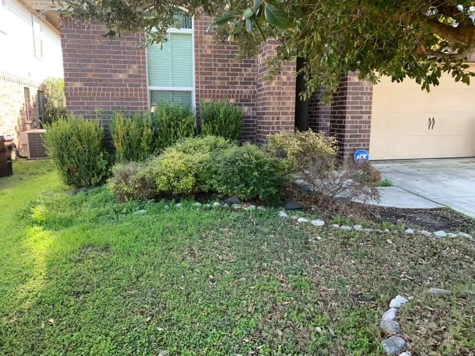 Reliable yard maintenance experts serving Helotes, TX - Firm Foundation Landscaping