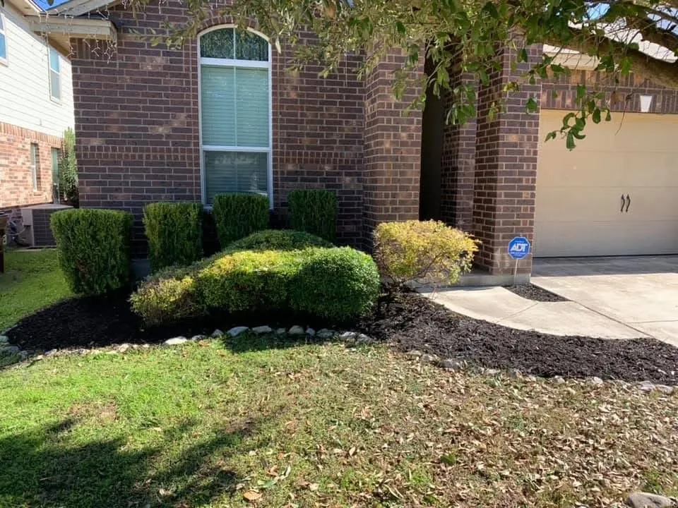 Trusted yard cleanup service experts serving Helotes, TX - Firm Foundation Landscaping