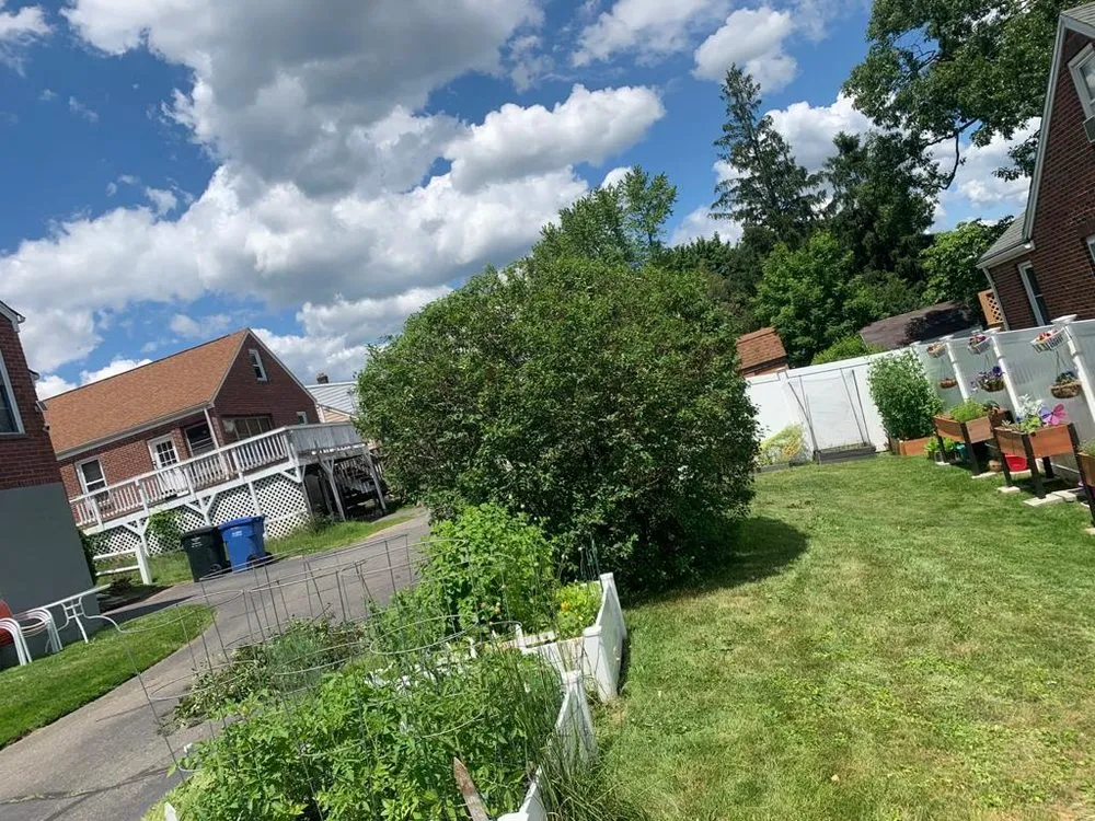 Affordable landscaping services experts serving Middletown, CT - Firmes Family Landscaping