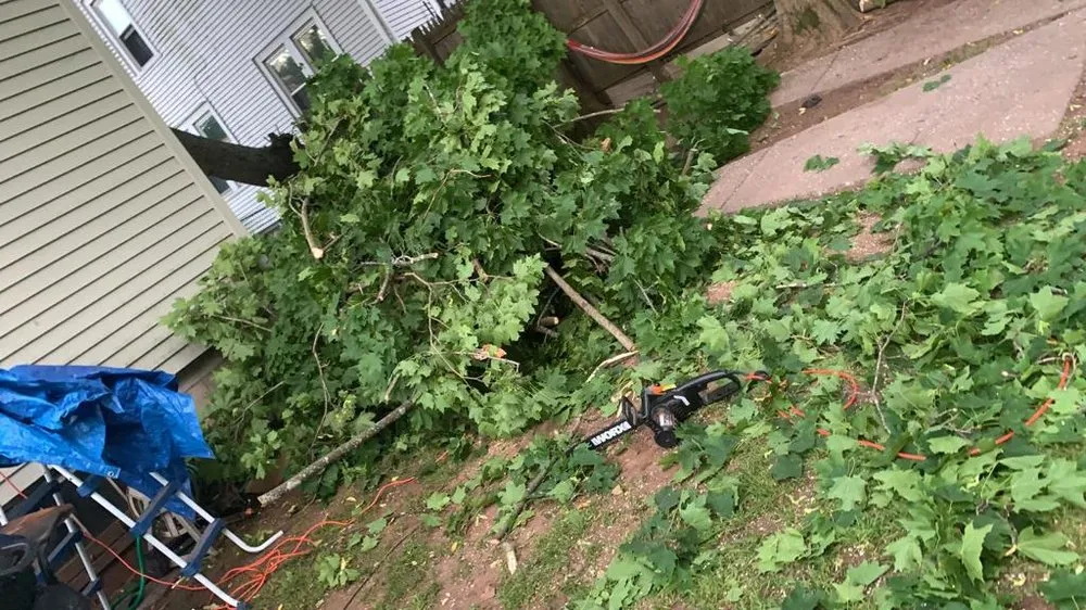 Affordable residential landscaping in Middletown, CT by Firmes Family Landscaping