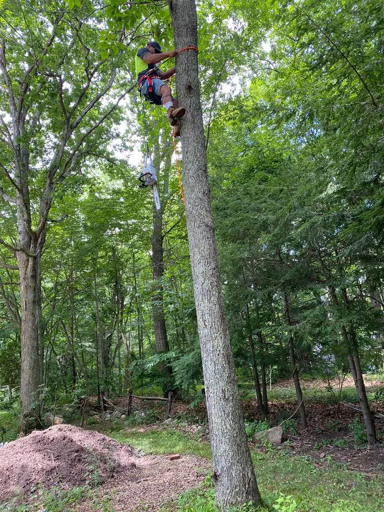 Custom landscape design in Middletown, CT - Firmes Family Landscaping